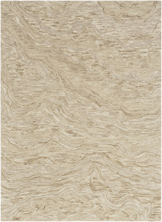 Nourison Graceful GRU01 Taupe Area Rug Main Image