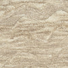 Nourison Graceful GRU01 Taupe Area Rug Swatch Image