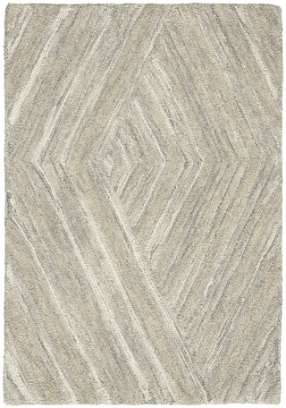 Nourison Graceful GRU03 Grey Area Rug main image