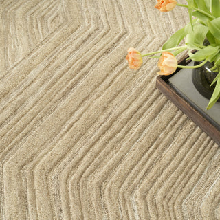 Nourison Graceful GRU03 Taupe Area Rug Corner Image