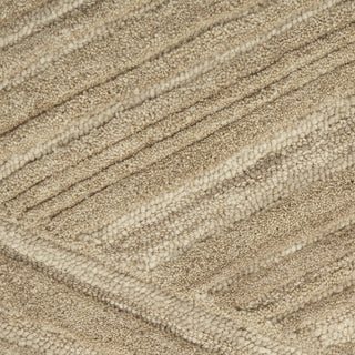 Nourison Graceful GRU03 Taupe Area Rug Swatch Image