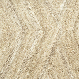 Nourison Graceful GRU03 Taupe Area Rug Swatch Image