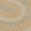 Colonial Mills Georgetown GT90 Beige Area Rug Closeup Image