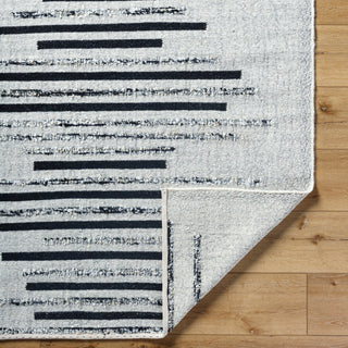 Surya Goteborg GTG-2301 Area Rug Pile