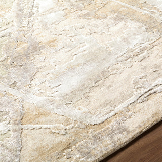 Surya Georgetown GTN-2302 Sandstone Area Rug Detail