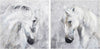 Surya Assateague GUE-001 Wall Art main image