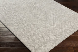 Livabliss Gavic GVC-2300 Area Rug