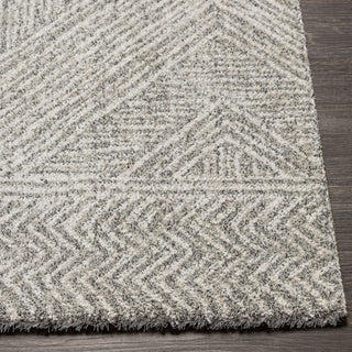 Livabliss Gavic GVC-2300 Area Rug