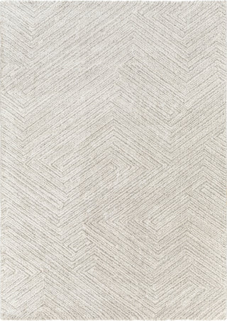 Livabliss Gavic GVC-2302 Area Rug