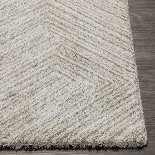 Livabliss Gavic GVC-2302 Area Rug