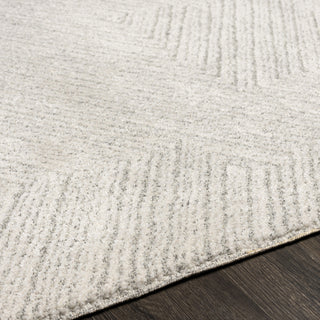 Livabliss Gavic GVC-2302 Area Rug