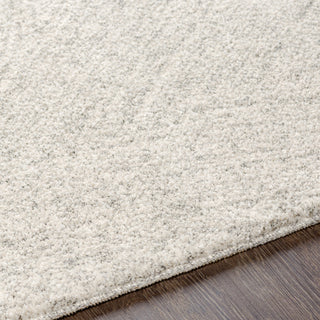 Livabliss Gavic GVC-2307 Area Rug