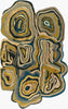 Surya Gypsy GYP-201 Area Rug main image