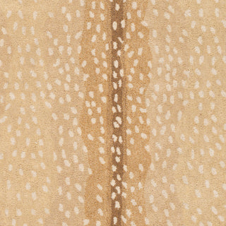 Surya Gazelle GZL-2300 Area Rug Swatch