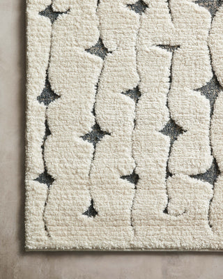 Loloi Hagen HAG-04 White / Navy Area Rug Corner Image