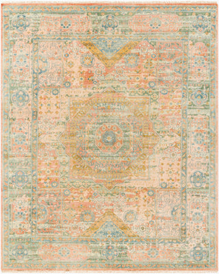 Surya Hamadan HAM-2304 Area Rug Main