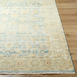 Surya Hamadan HAM-2305 Area Rug Angle