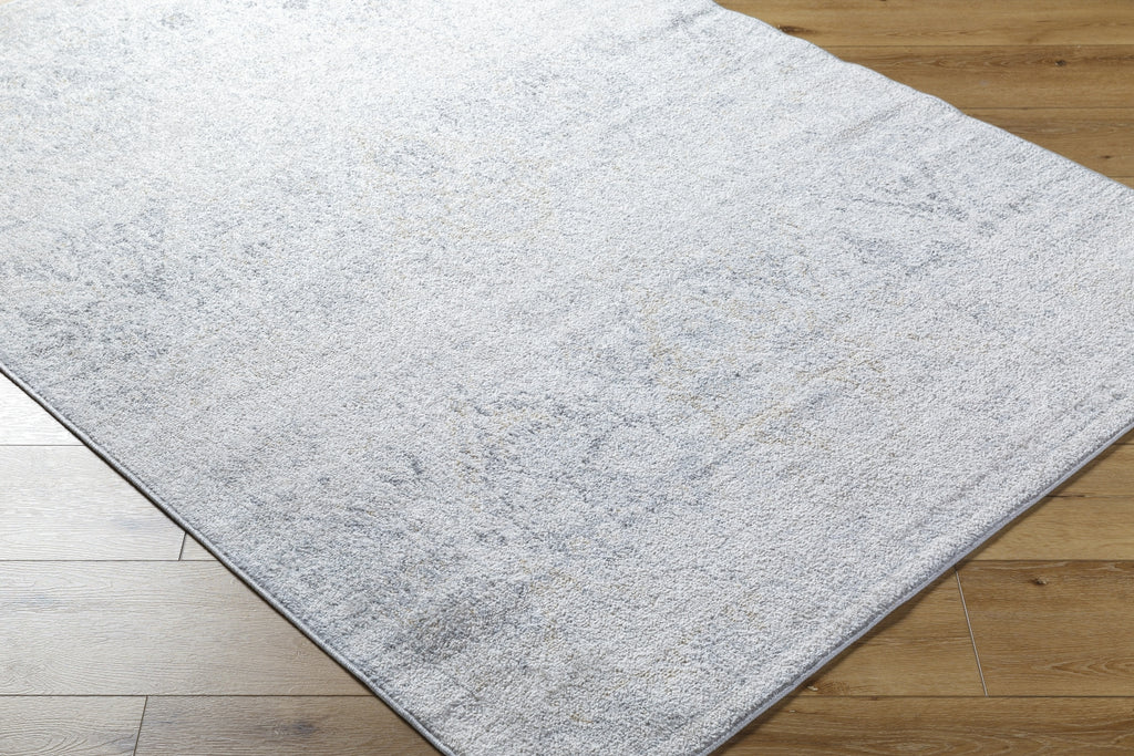 Livabliss Harput HAP-1167 Light Beige Area Rug