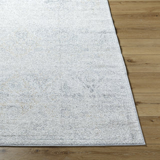 Livabliss Harput HAP-1167 Light Beige Area Rug