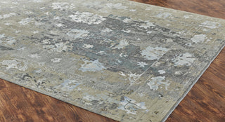 Ancient Boundaries Harvest HAR-1142 Greige and Blues Area Rug Alternative Image