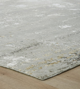 Ancient Boundaries Harvest HAR-1146 Silver Mist Area Rug Alternative Image
