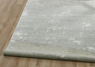 Ancient Boundaries Harvest HAR-1146 Silver Mist Area Rug Alternative Image