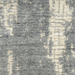 Nourison Harmony HAY03 Slate Beige Area Rug by Home Texture Image