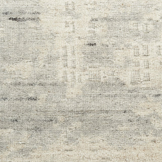 Nourison Harmony HAY04 Ivory Grey Area Rug by Home Texture Image