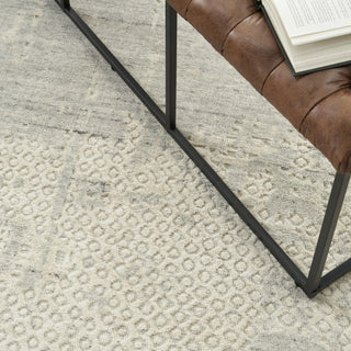 Nourison Harmony HAY04 Ivory Grey Area Rug by Home Room Image Feature