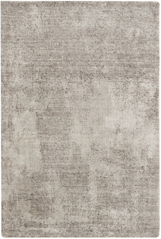 Nourison Harmony HAY06 Silver Grey Area Rug by Home main image