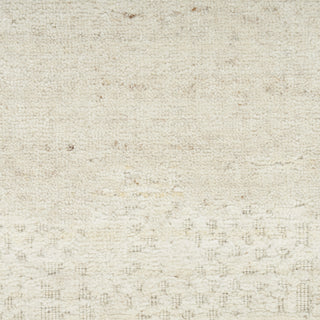 Nourison Harmony HAY07 Ivory Area Rug by Home Texture Image