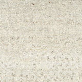 Nourison Harmony HAY07 Ivory Area Rug by Home Room Image Feature