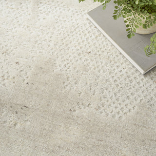 Nourison Harmony HAY07 Ivory Area Rug by Home Room Image Feature