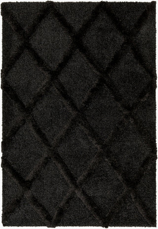 Livabliss Hudson Shag HDS-2300 The Prominent Colors In This Home Decor Item Are: 'charcoal Area Rug main image