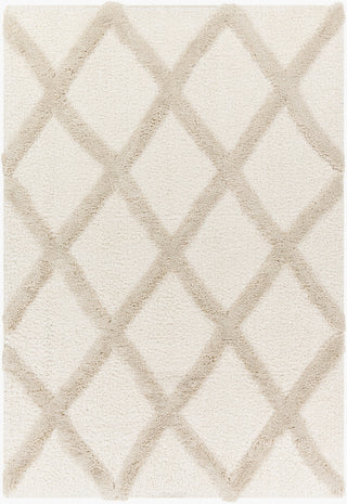 Livabliss Hudson Shag HDS-2306 Ivory Area Rug main image