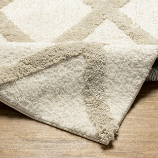 Livabliss Hudson Shag HDS-2306 Ivory Area Rug Pile