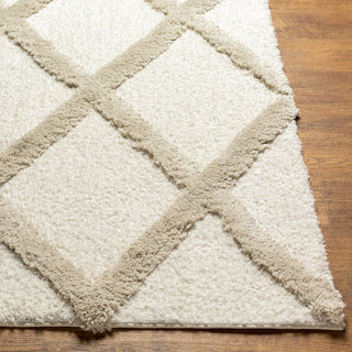 Livabliss Hudson Shag HDS-2306 Ivory Area Rug Angle