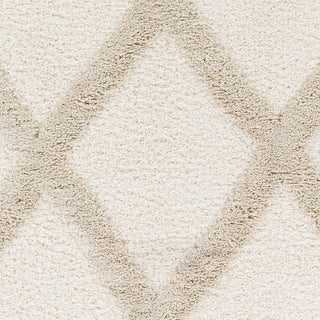Livabliss Hudson Shag HDS-2306 Ivory Area Rug Swatch