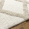 Livabliss Hudson Shag HDS-2306 Ivory Area Rug Detail
