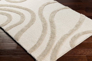 Livabliss Hudson Shag HDS-2310 Ivory Area Rug Corner Shot