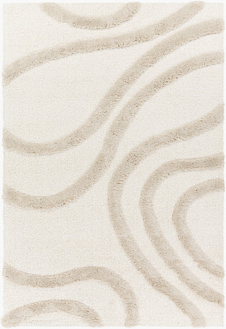 Livabliss Hudson Shag HDS-2310 Ivory Area Rug main image
