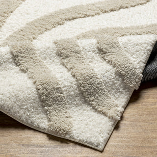 Livabliss Hudson Shag HDS-2310 Ivory Area Rug Pile