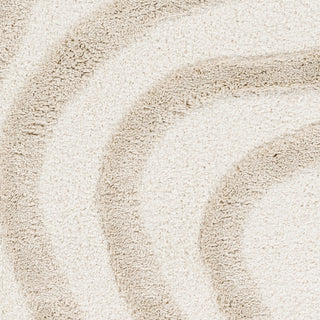 Livabliss Hudson Shag HDS-2310 Ivory Area Rug Swatch
