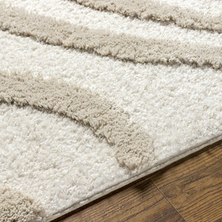 Livabliss Hudson Shag HDS-2310 Ivory Area Rug Detail