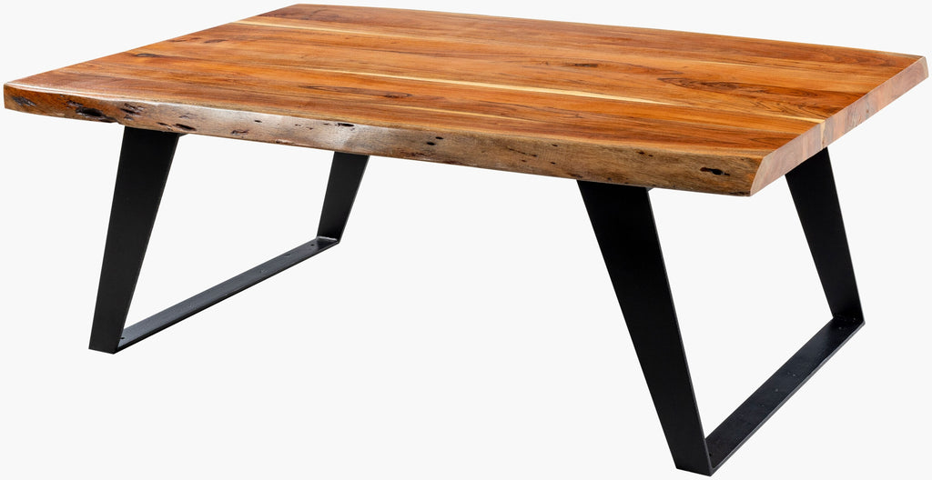 Surya Halden HEN-002 Brown / Black Furniture main image