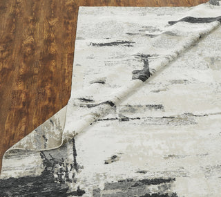 Ancient Boundaries Henri HEN-1162 Grey Area Rug Alternative Image
