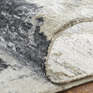 Ancient Boundaries Henri HEN-1162 Grey Area Rug Alternative Image