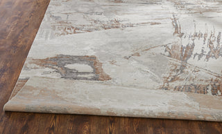 Ancient Boundaries Henri HEN-1165 Travertine/Dusty Rose Area Rug Alternative Image