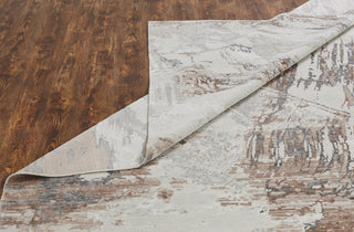 Ancient Boundaries Henri HEN-1165 Travertine/Dusty Rose Area Rug Alternative Image