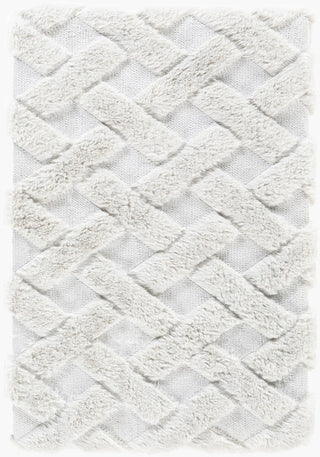 Surya Hagen HGE-1000 Light Slate Throw main image